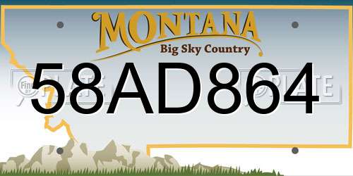 58AD864 Montana License Plate