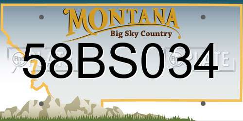 58BS034 Montana License Plate