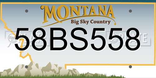 58BS558 Montana License Plate