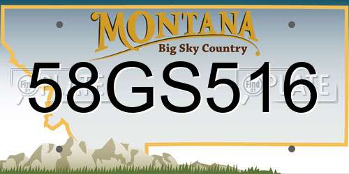 58GS516 Montana License Plate