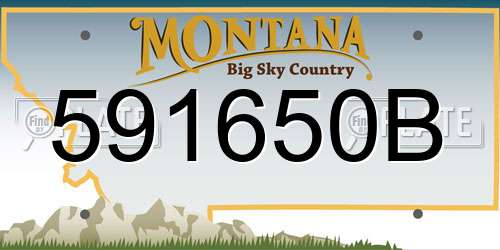 591650B Montana License Plate
