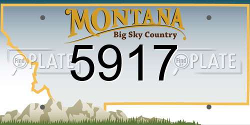 5917 Montana License Plate