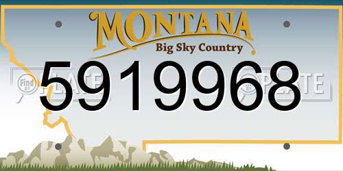 5919968 Montana License Plate