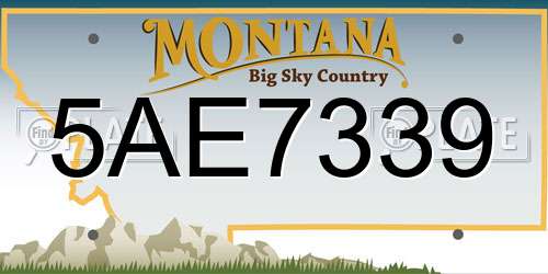 5AE7339 Montana License Plate