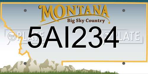 5AI234 Montana License Plate