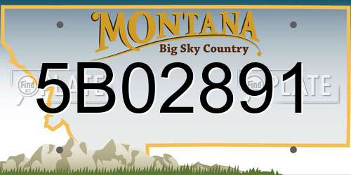5B02891 Montana License Plate