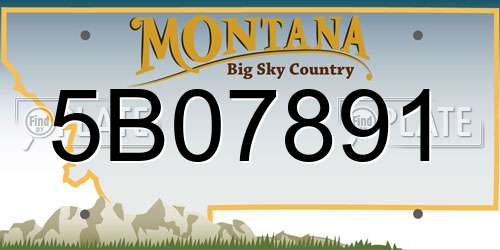 5B07891 Montana License Plate