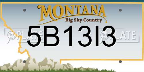 5B13I3 Montana License Plate