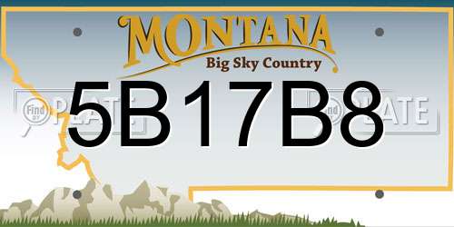 5B17B8 Montana License Plate