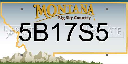 5B17S5 Montana License Plate