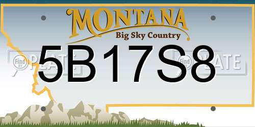 5B17S8 Montana License Plate