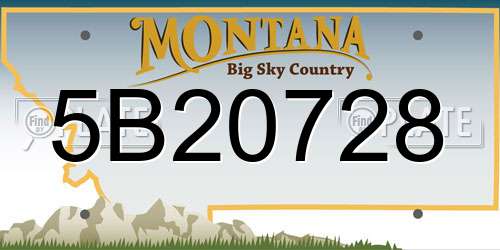 5B20728 Montana License Plate