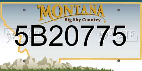 5B20775 Montana License Plate