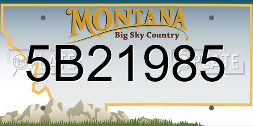 5B21985 Montana License Plate