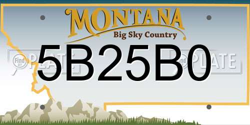 5B25B0 Montana License Plate