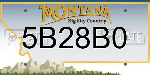 5B28B0 Montana License Plate