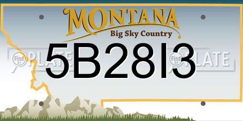 5B28I3 Montana License Plate