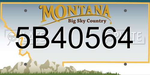 5B40564 Montana License Plate