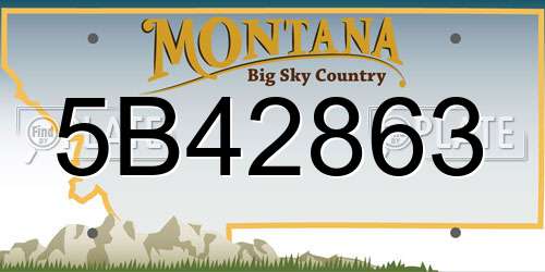 5B42863 Montana License Plate