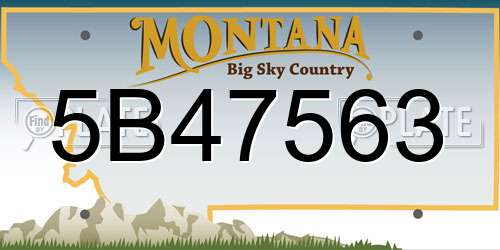 5B47563 Montana License Plate