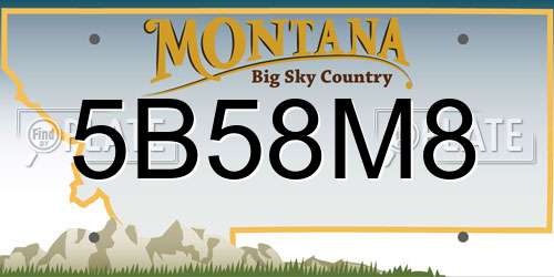 5B58M8 Montana License Plate