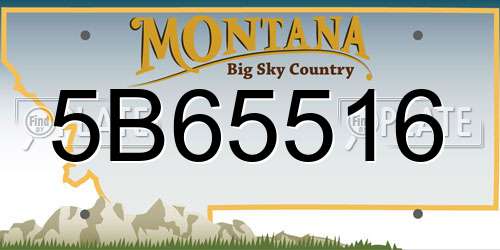 5B65516 Montana License Plate