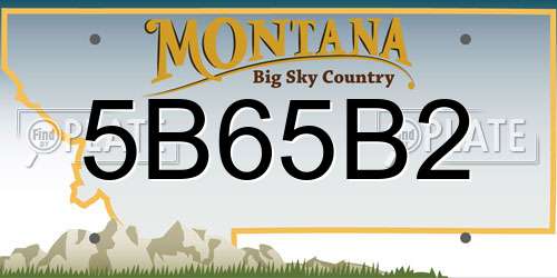 5B65B2 Montana License Plate