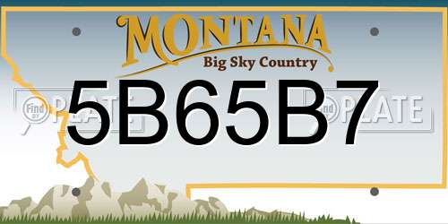 5B65B7 Montana License Plate