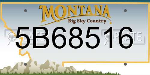 5B68516 Montana License Plate
