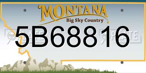 5B68816 Montana License Plate