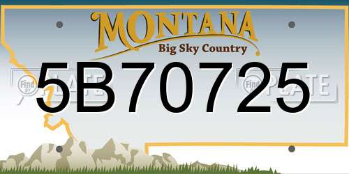 5B70725 Montana License Plate