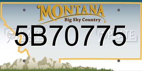 5B70775 Montana License Plate