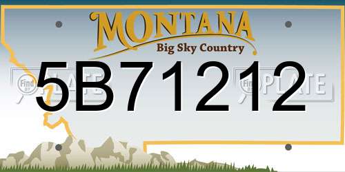 5B71212 Montana License Plate