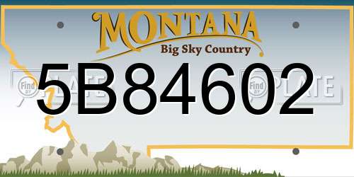 5B84602 Montana License Plate
