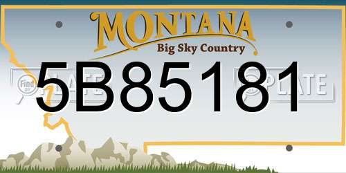 5B85181 Montana License Plate