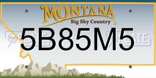 5B85M5 Montana License Plate