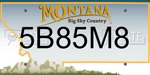 5B85M8 Montana License Plate