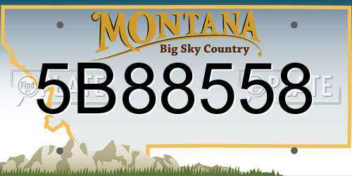 5B88558 Montana License Plate