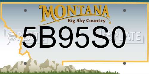 5B95S0 Montana License Plate
