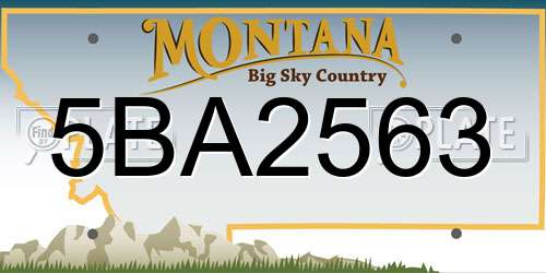 5BA2563 Montana License Plate