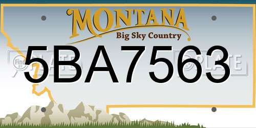 5BA7563 Montana License Plate