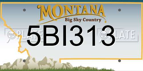 5BI313 Montana License Plate
