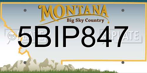 5BIP847 Montana License Plate