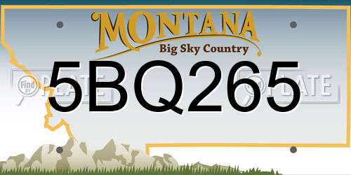 5BQ265 Montana License Plate