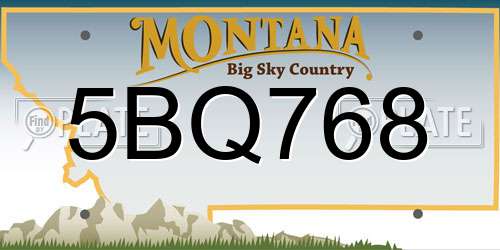 5BQ768 Montana License Plate