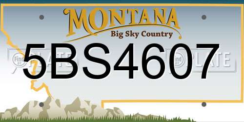 5BS4607 Montana License Plate