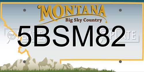 5BSM82 Montana License Plate
