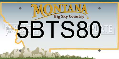 5BTS80 Montana License Plate