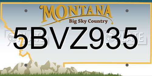 5BVZ935 Montana License Plate