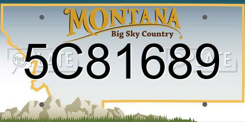 5C81689 Montana License Plate